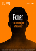 Group-IB_FXMSP Threat Research.pdf